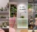 Biljke.Plants zeleni concept store s potpisom dizajnerskog studija 9HZ