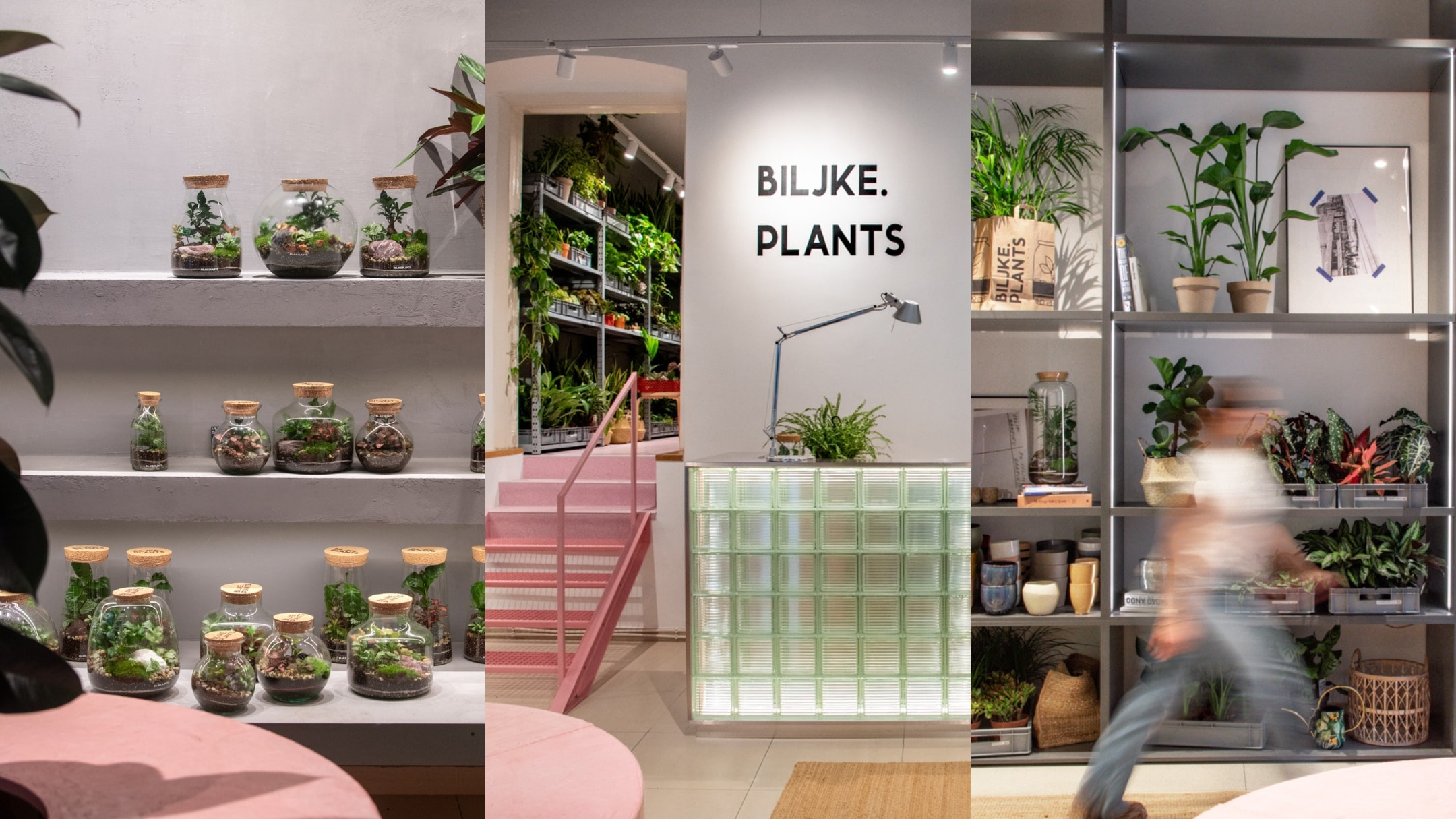 Biljke.Plants zeleni concept store s potpisom dizajnerskog studija 9HZ